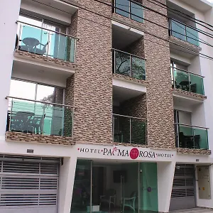 Palma Rosa Medellín