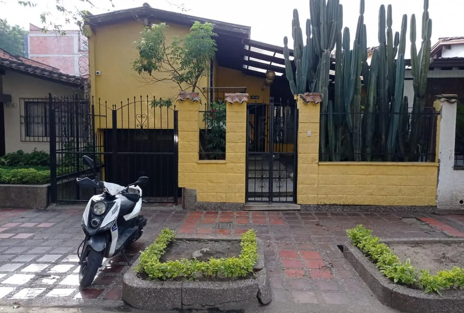 Yellow House Hostel Medellin Colombia